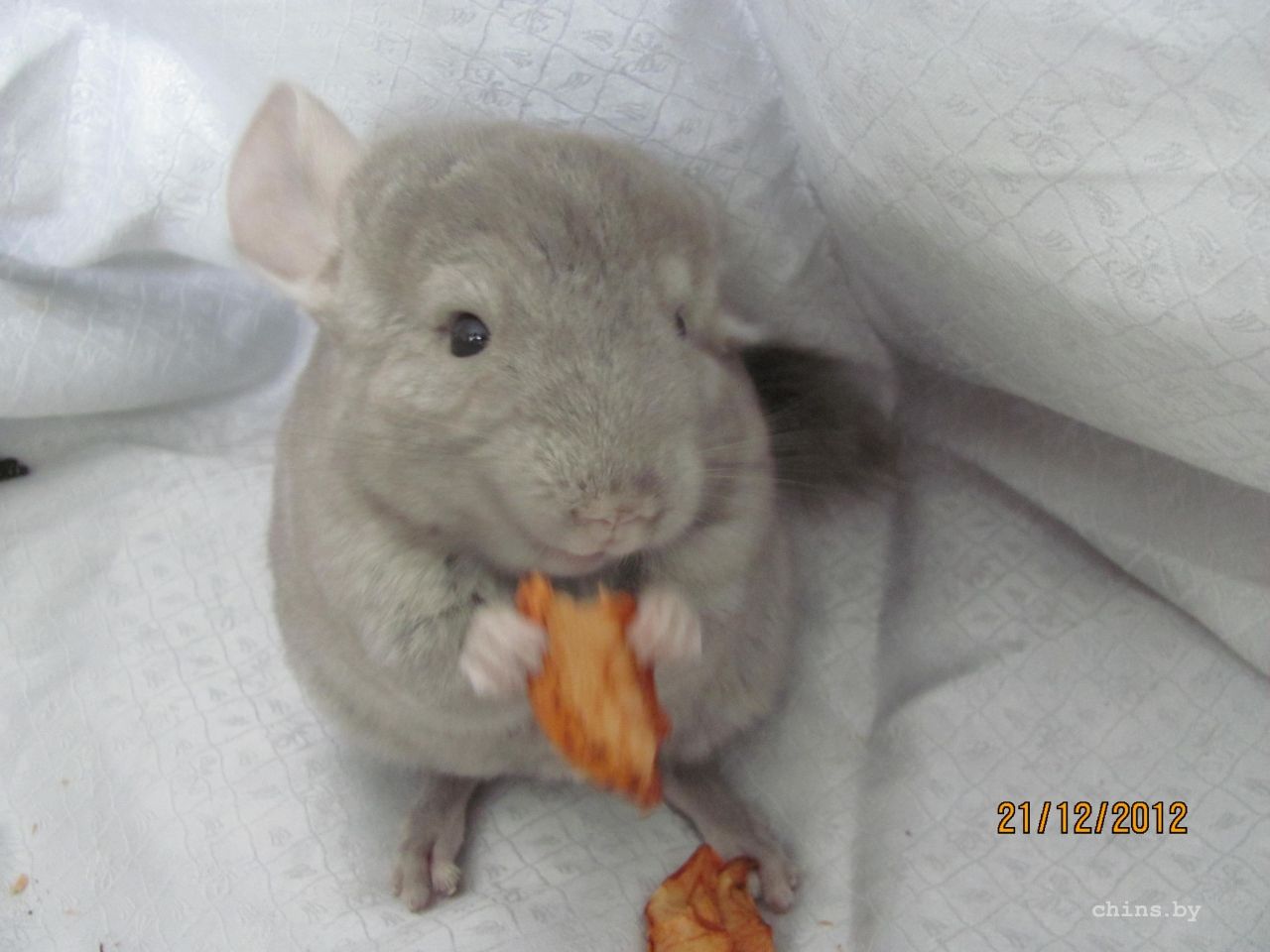 Изображение 036.jpg