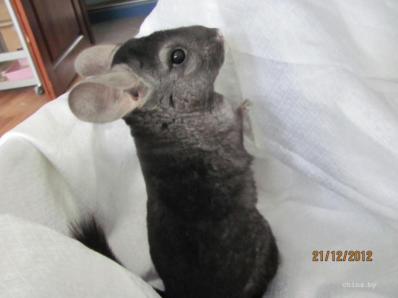 Изображение 094.jpg