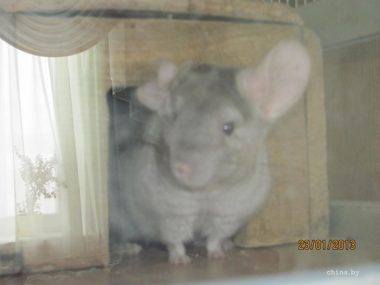 Изображение 262.jpg