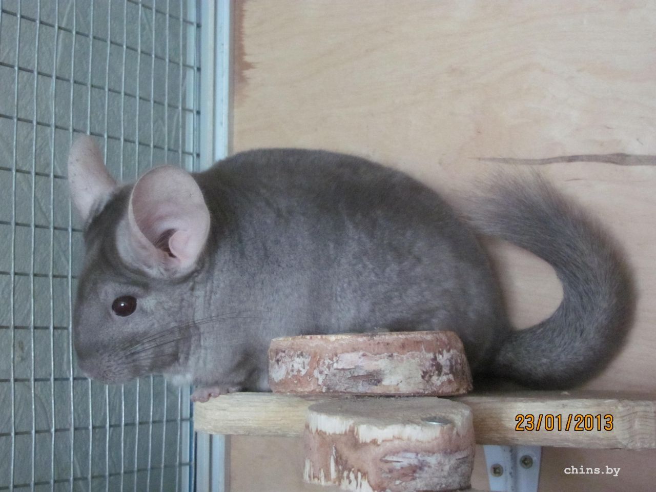 Изображение 284.jpg