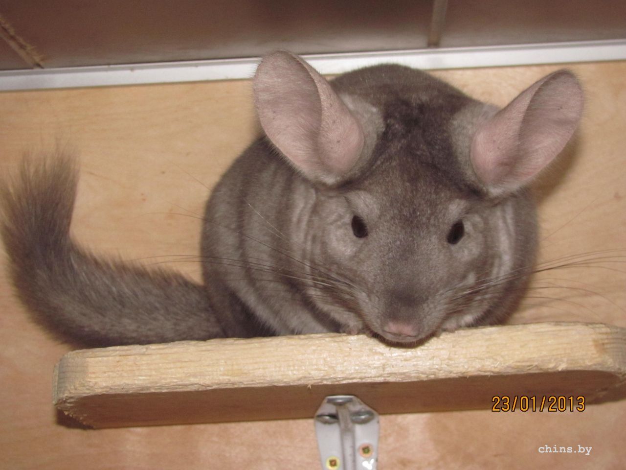 Изображение 290.jpg