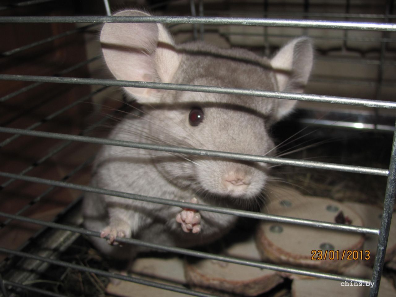 Изображение 297.jpg