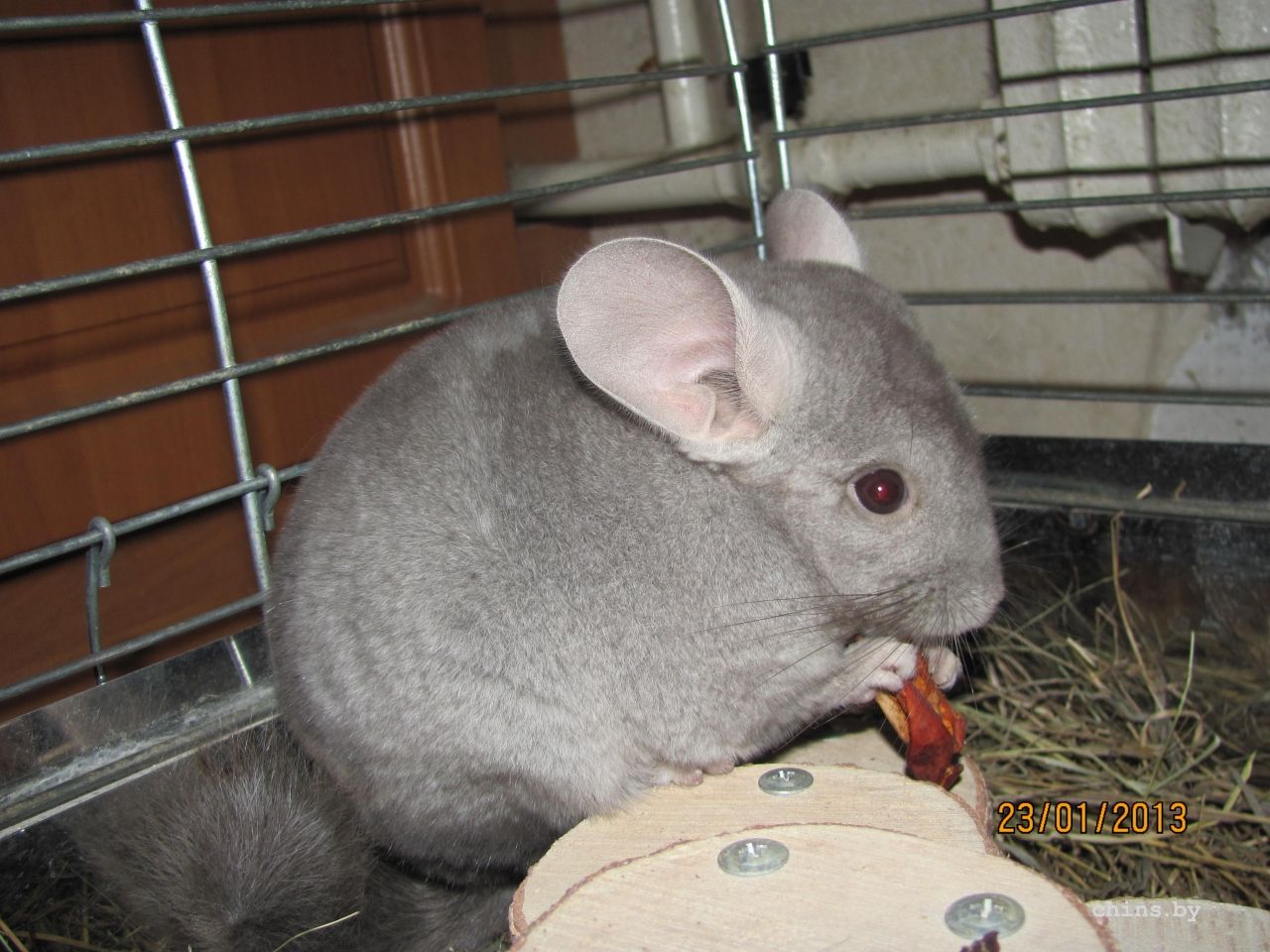 Изображение 299.jpg