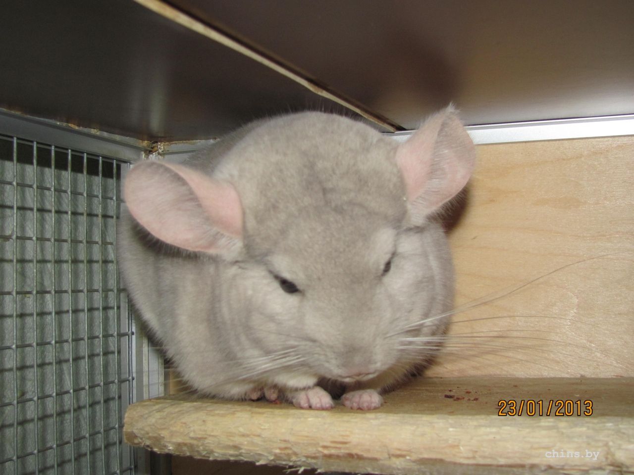 Изображение 291.jpg