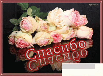 spasibo_cvety.gif
