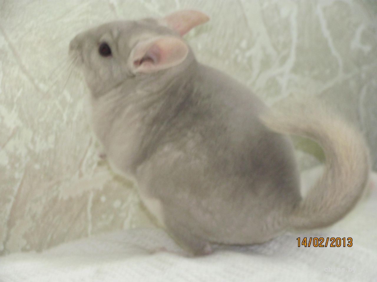 Изображение 025.jpg