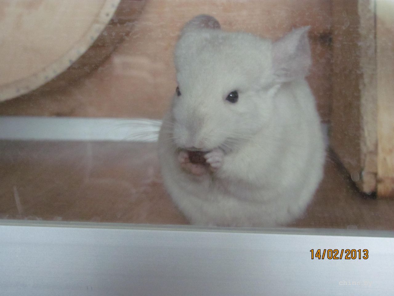 Изображение 014.jpg