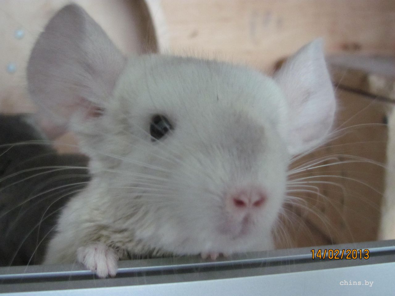 Изображение 010.jpg