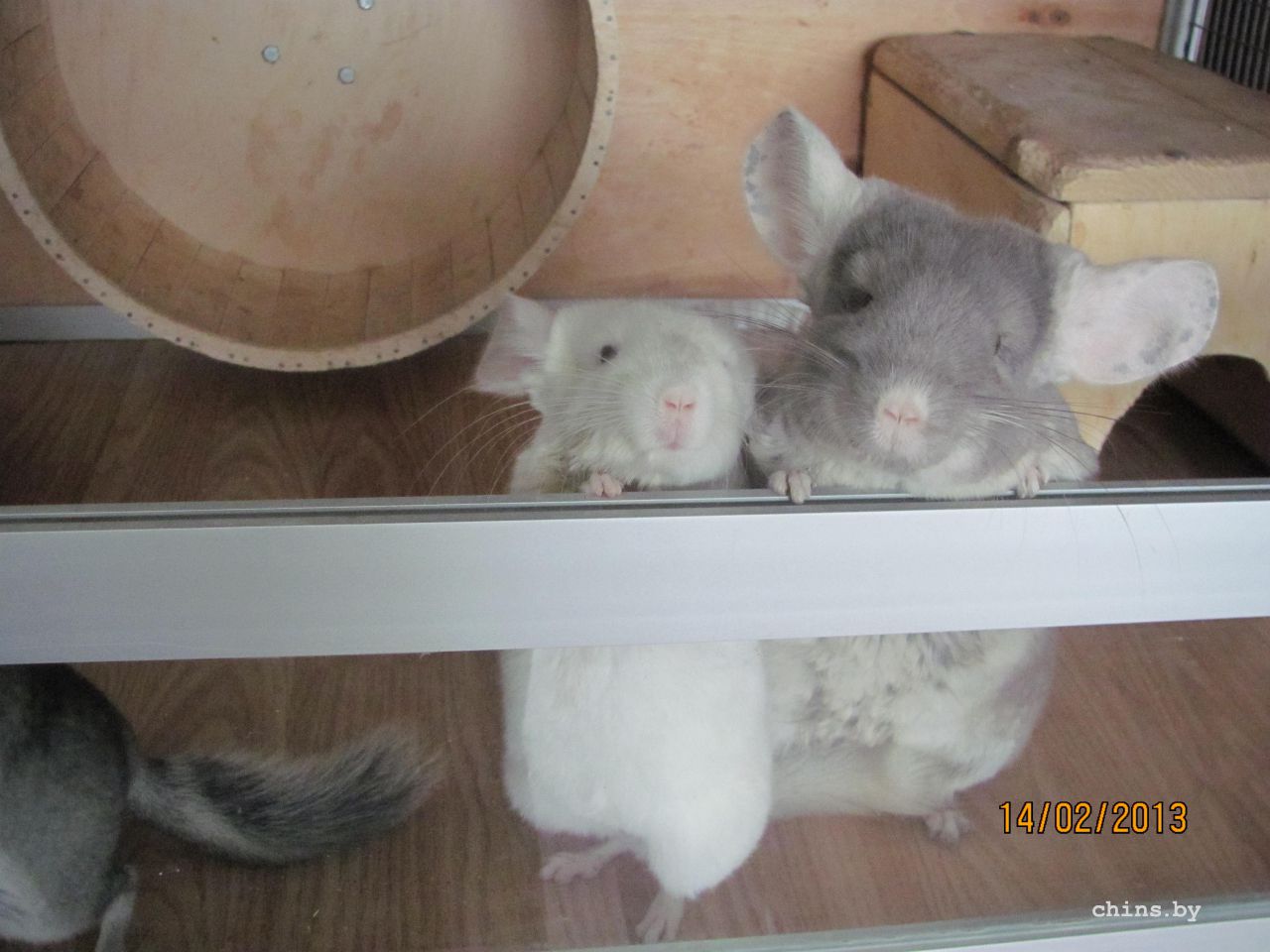 Изображение 011.jpg