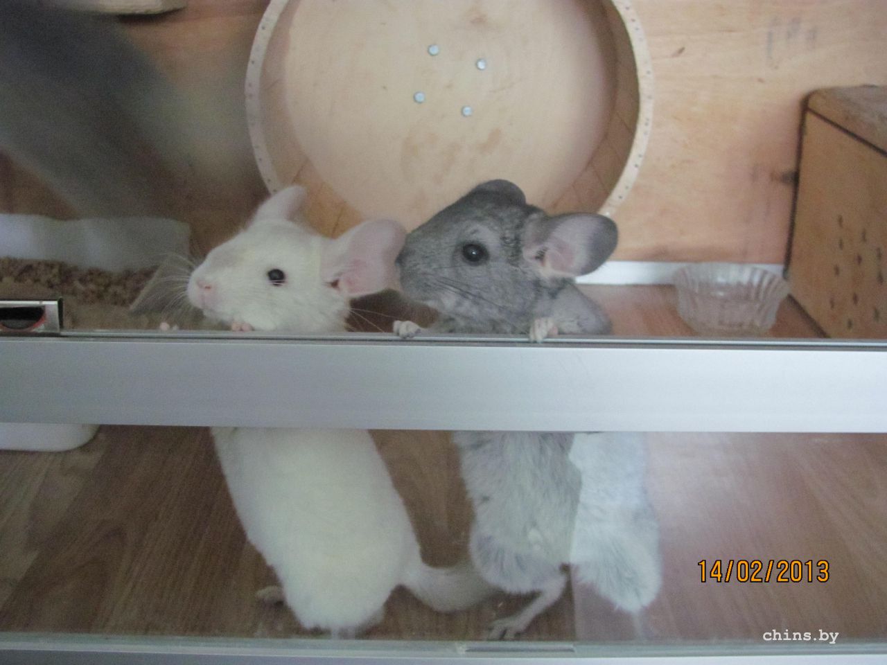 Изображение 012.jpg