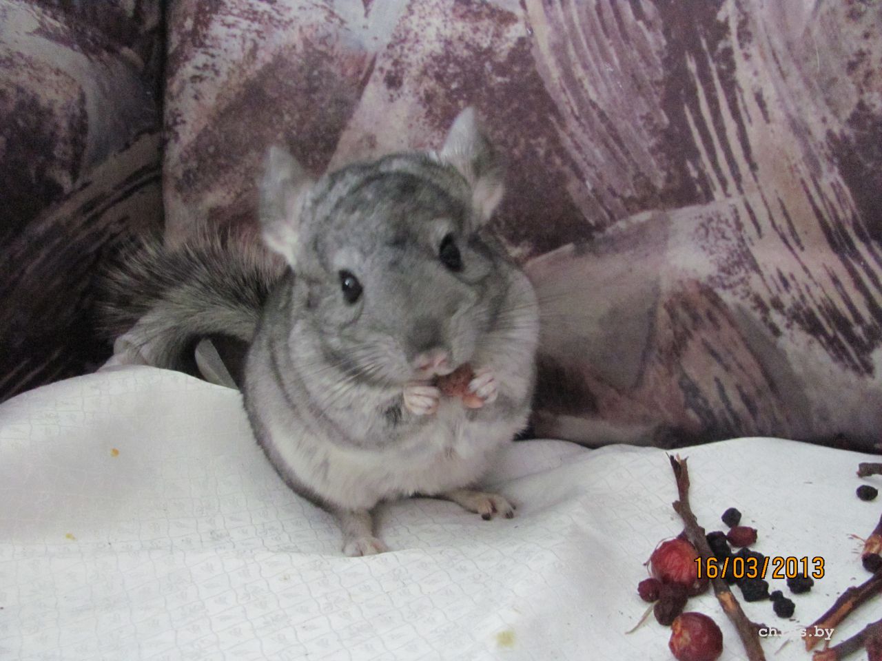 Изображение 384.jpg