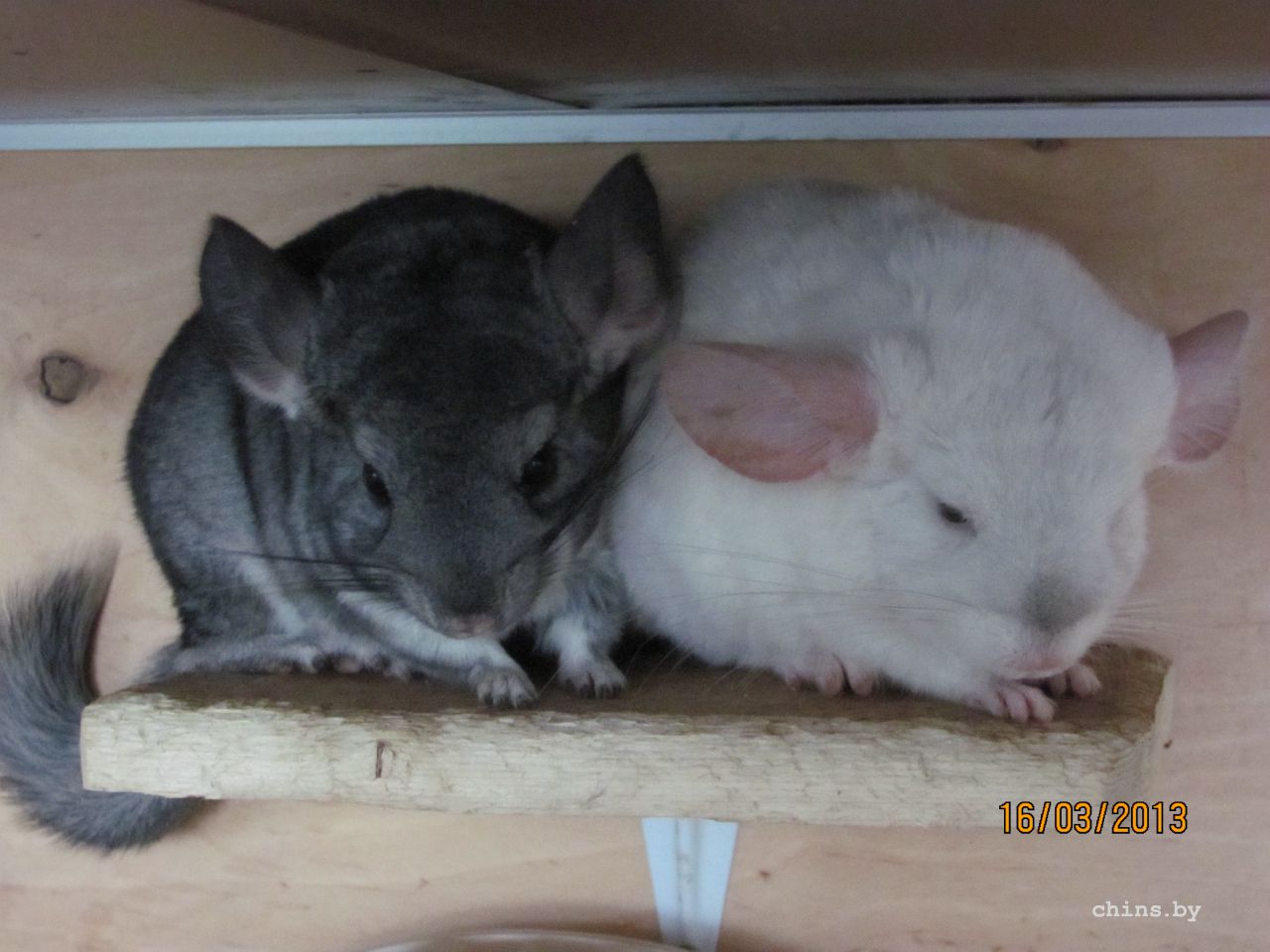 Изображение 388.jpg