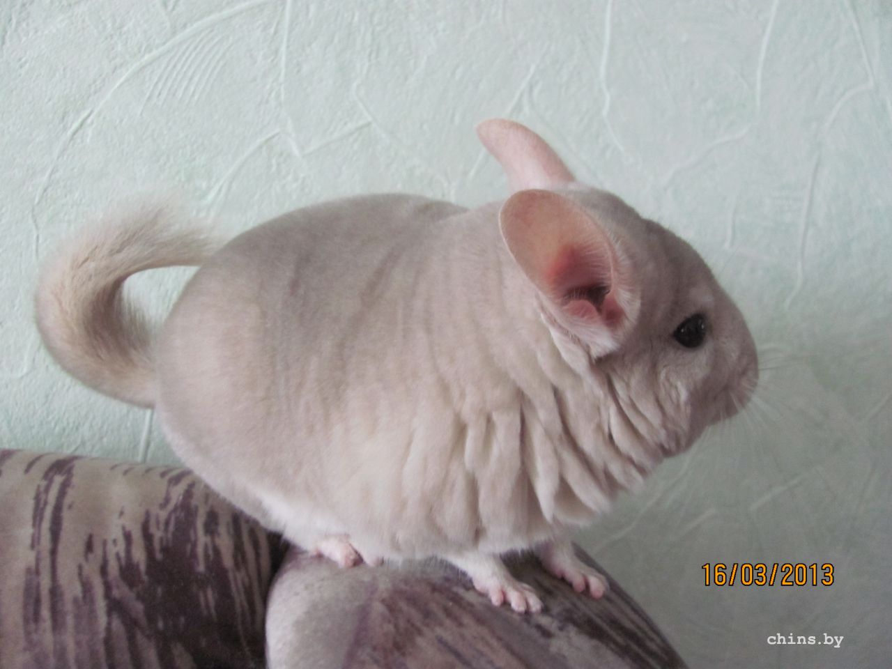 Изображение 404.jpg