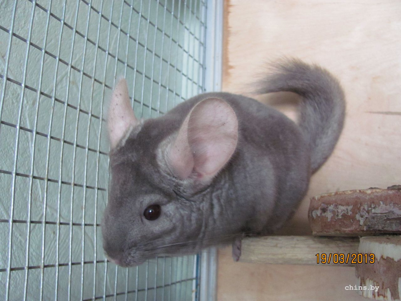 Изображение 480.jpg