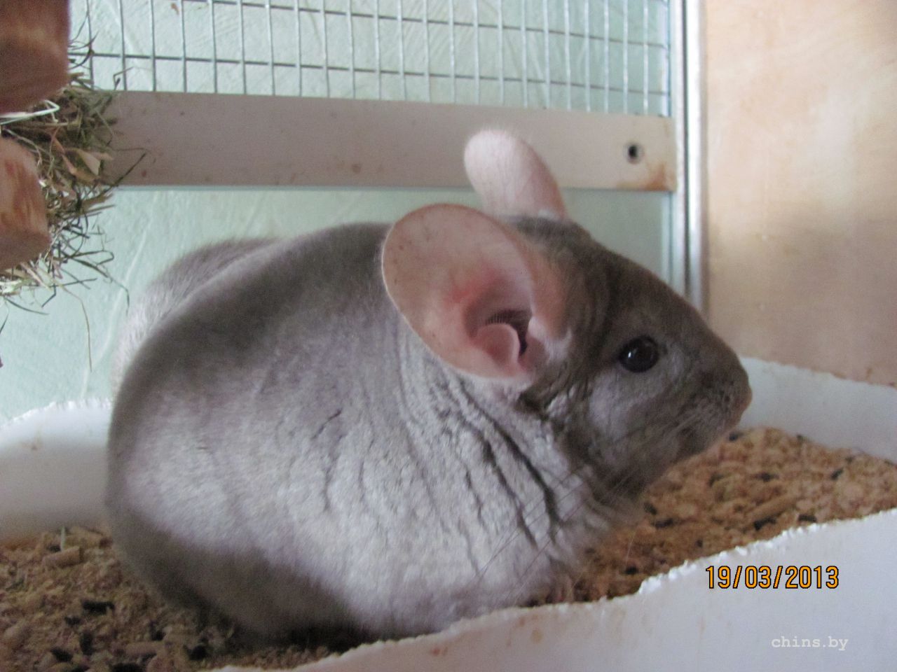 Изображение 483.jpg