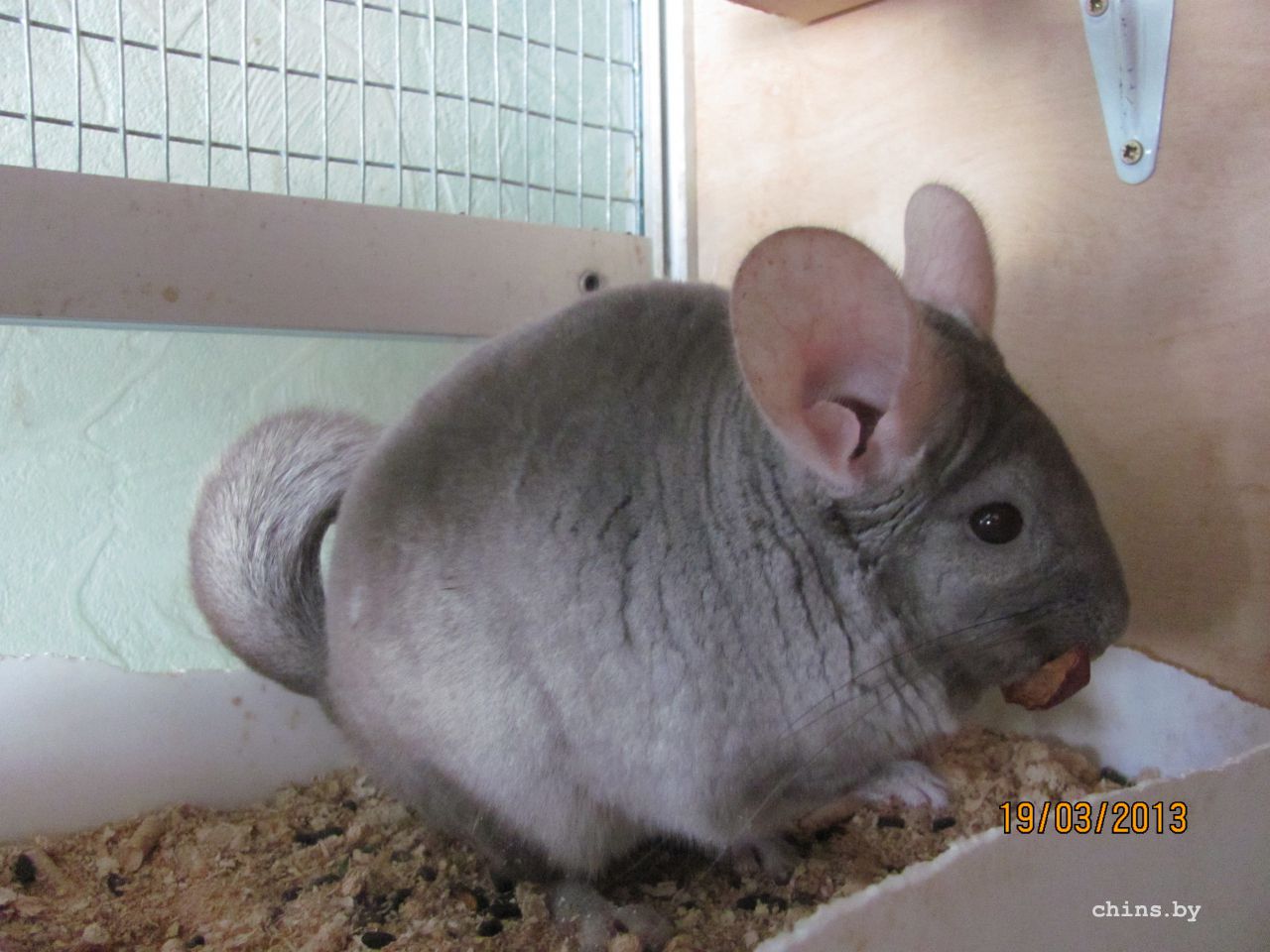 Изображение 493.jpg