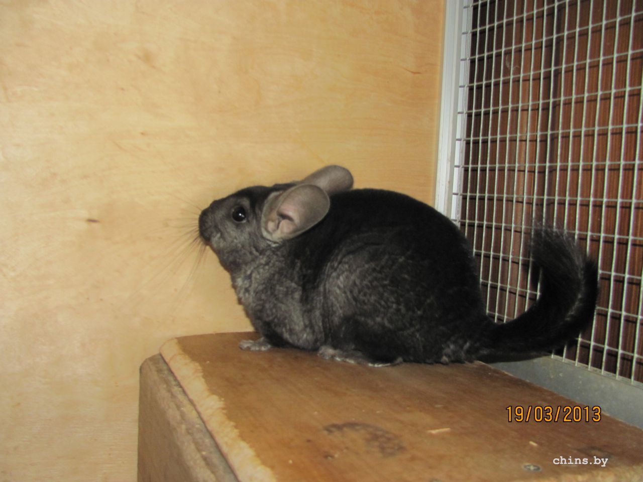 Изображение 473.jpg