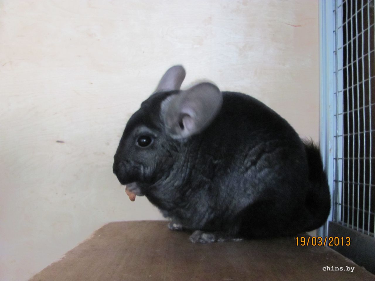 Изображение 489.jpg