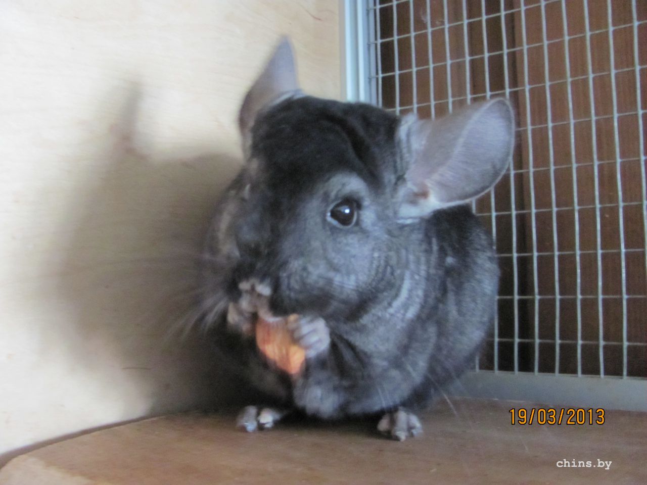 Изображение 490.jpg