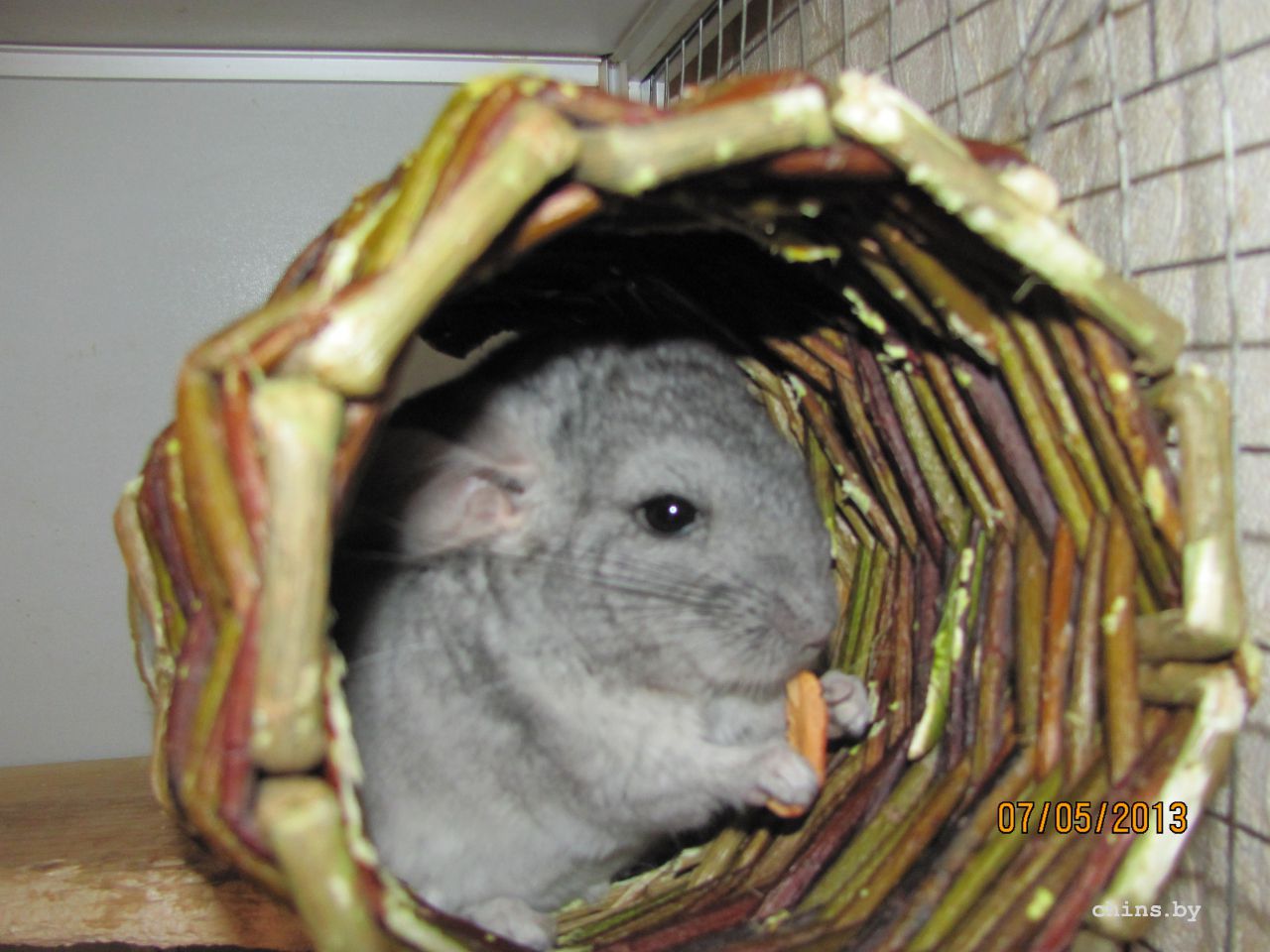 Изображение 545.jpg