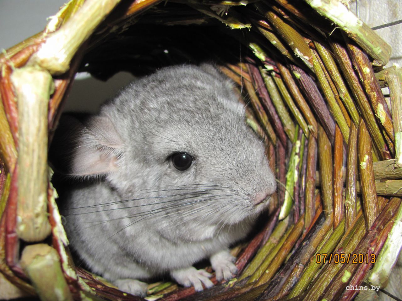 Изображение 542.jpg