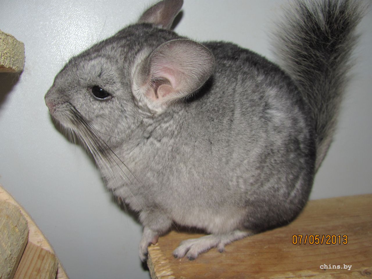 Изображение 540.jpg