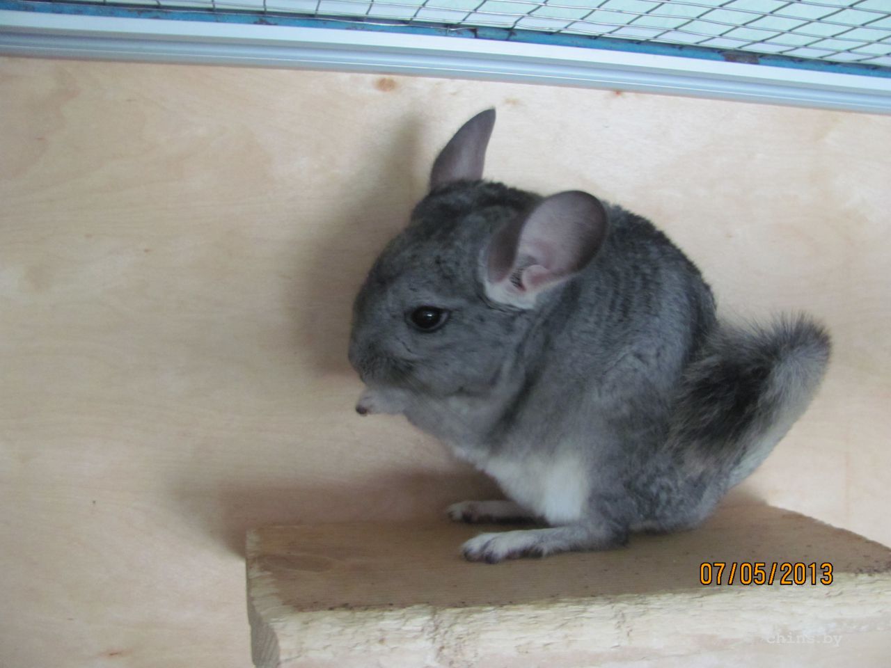 Изображение 539.jpg