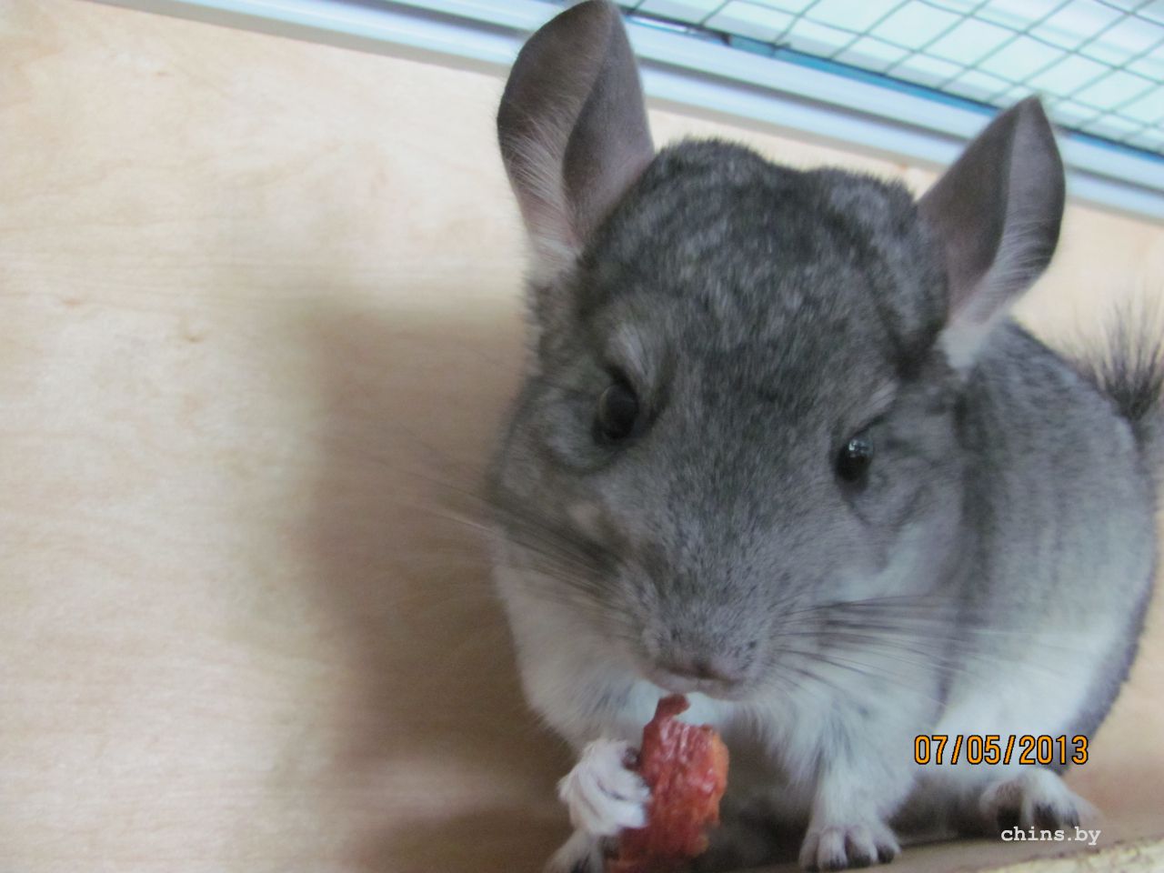 Изображение 533.jpg