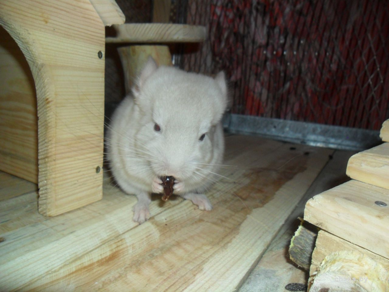 SAM_3798.JPG