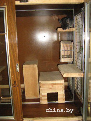 IMG_1454 [640x480].JPG