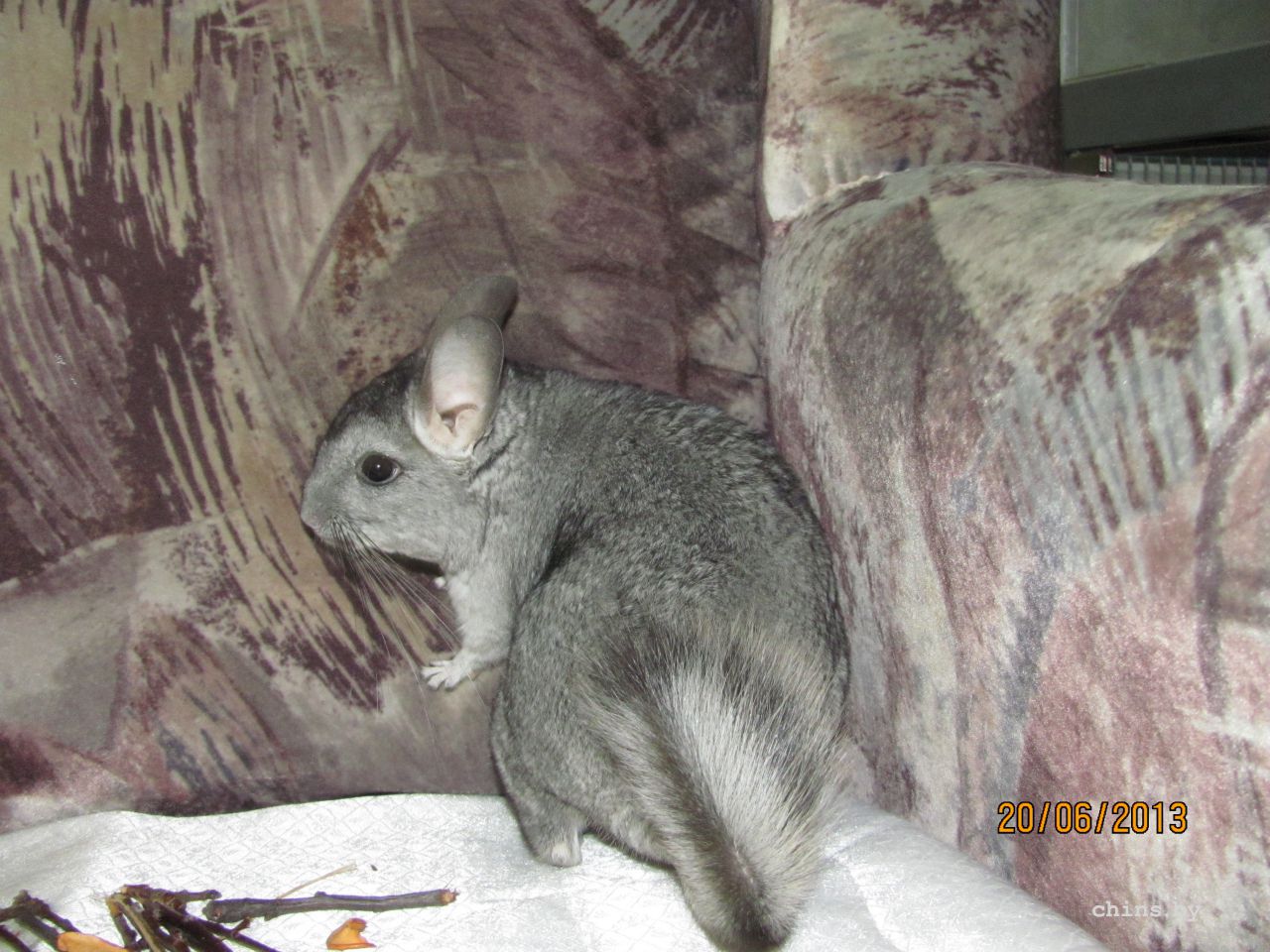 Изображение 560.jpg