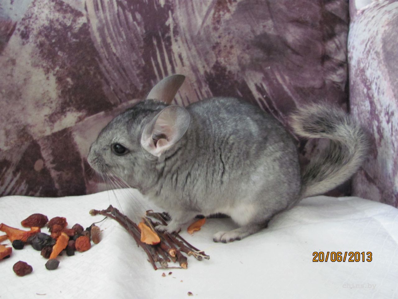 Изображение 562.jpg