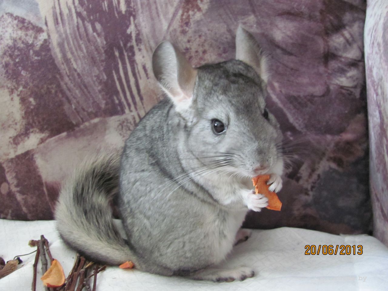 Изображение 568.jpg