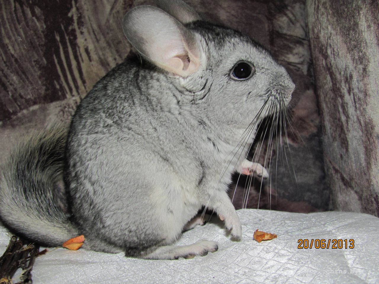 Изображение 569.jpg