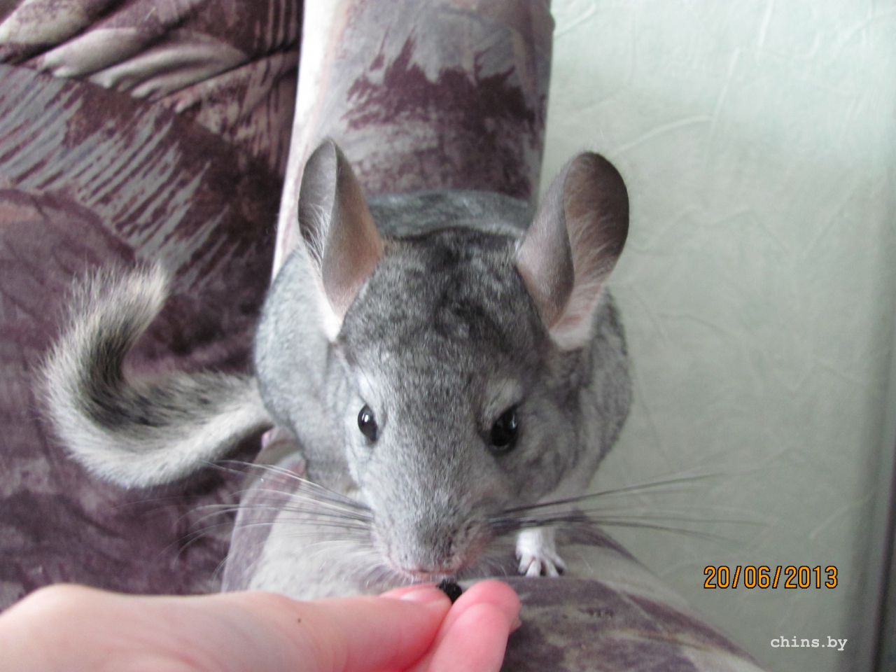 Изображение 576.jpg