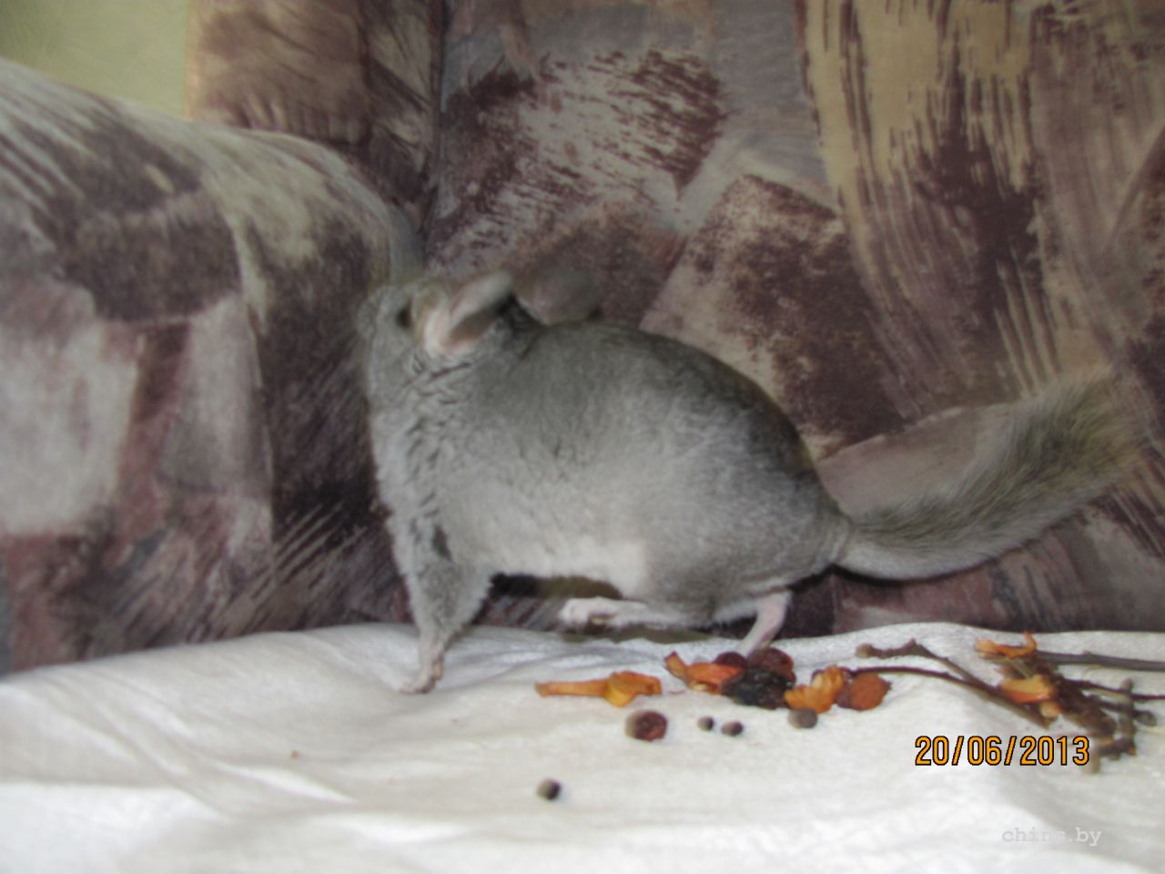 Изображение 579.jpg