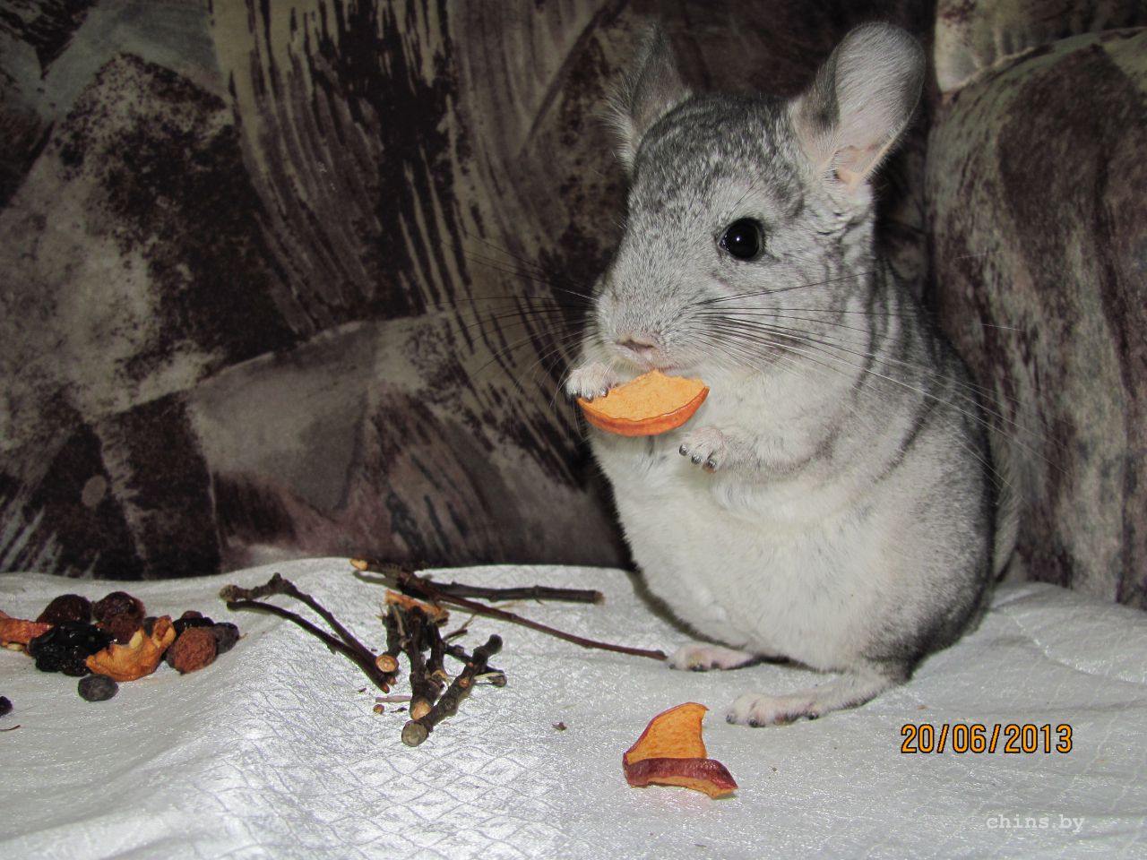 Изображение 580.jpg