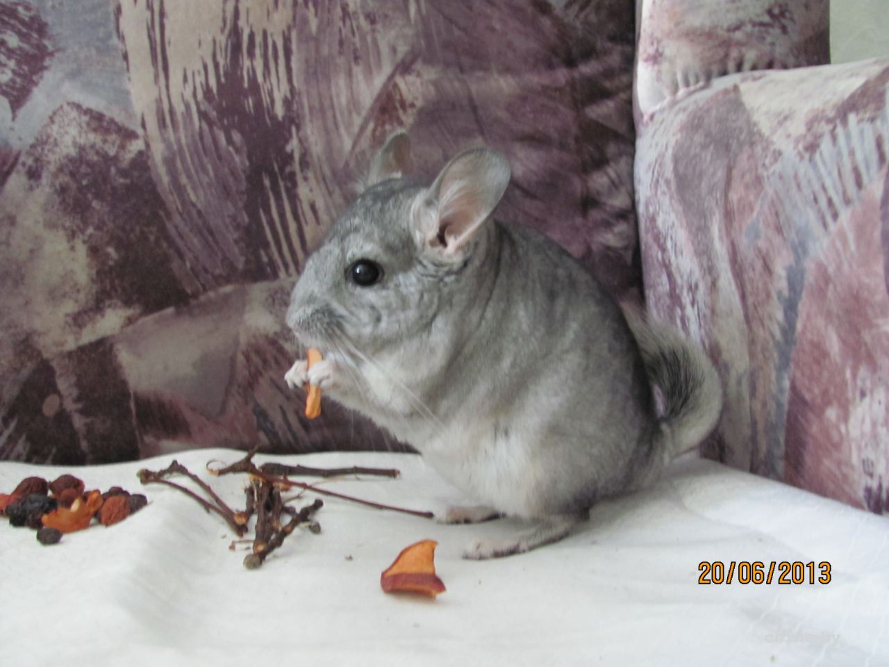 Изображение 584.jpg