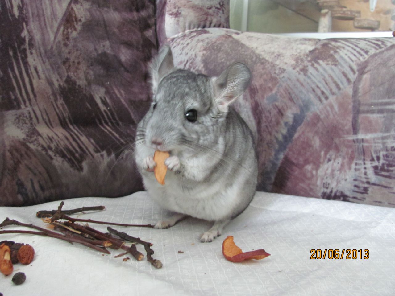 Изображение 585.jpg