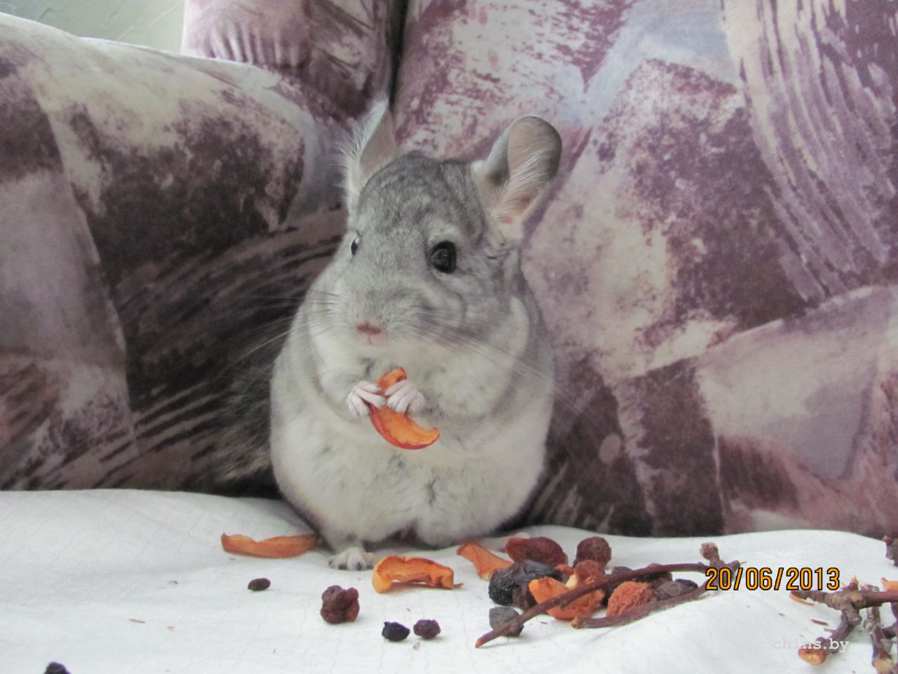 Изображение 589.jpg