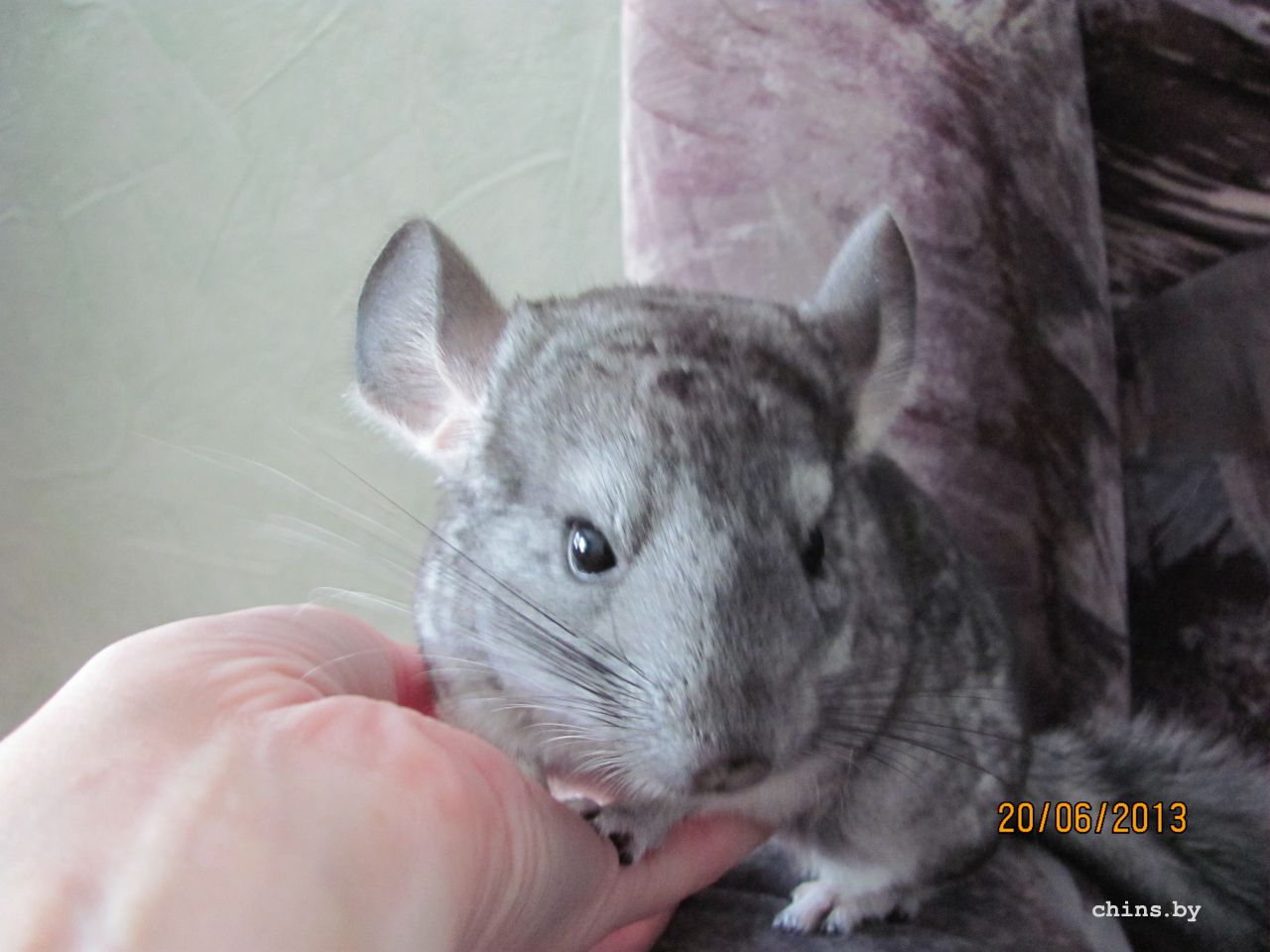 Изображение 597.jpg