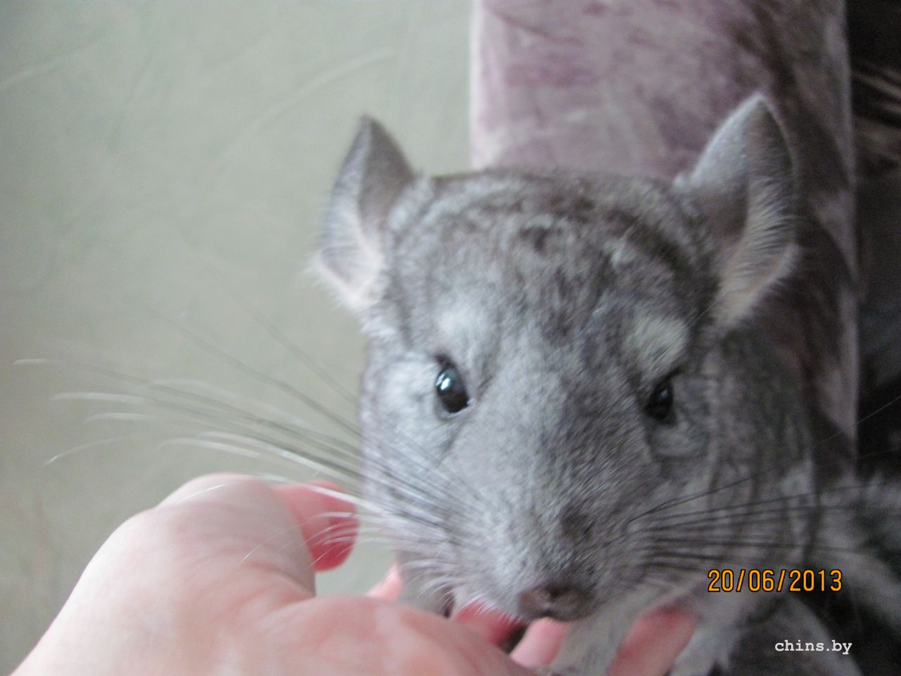 Изображение 596.jpg