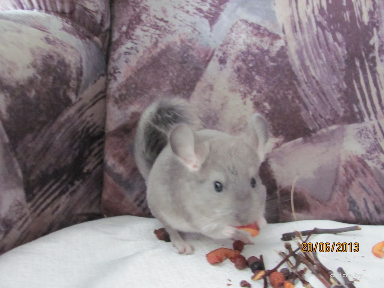 Изображение 599.jpg