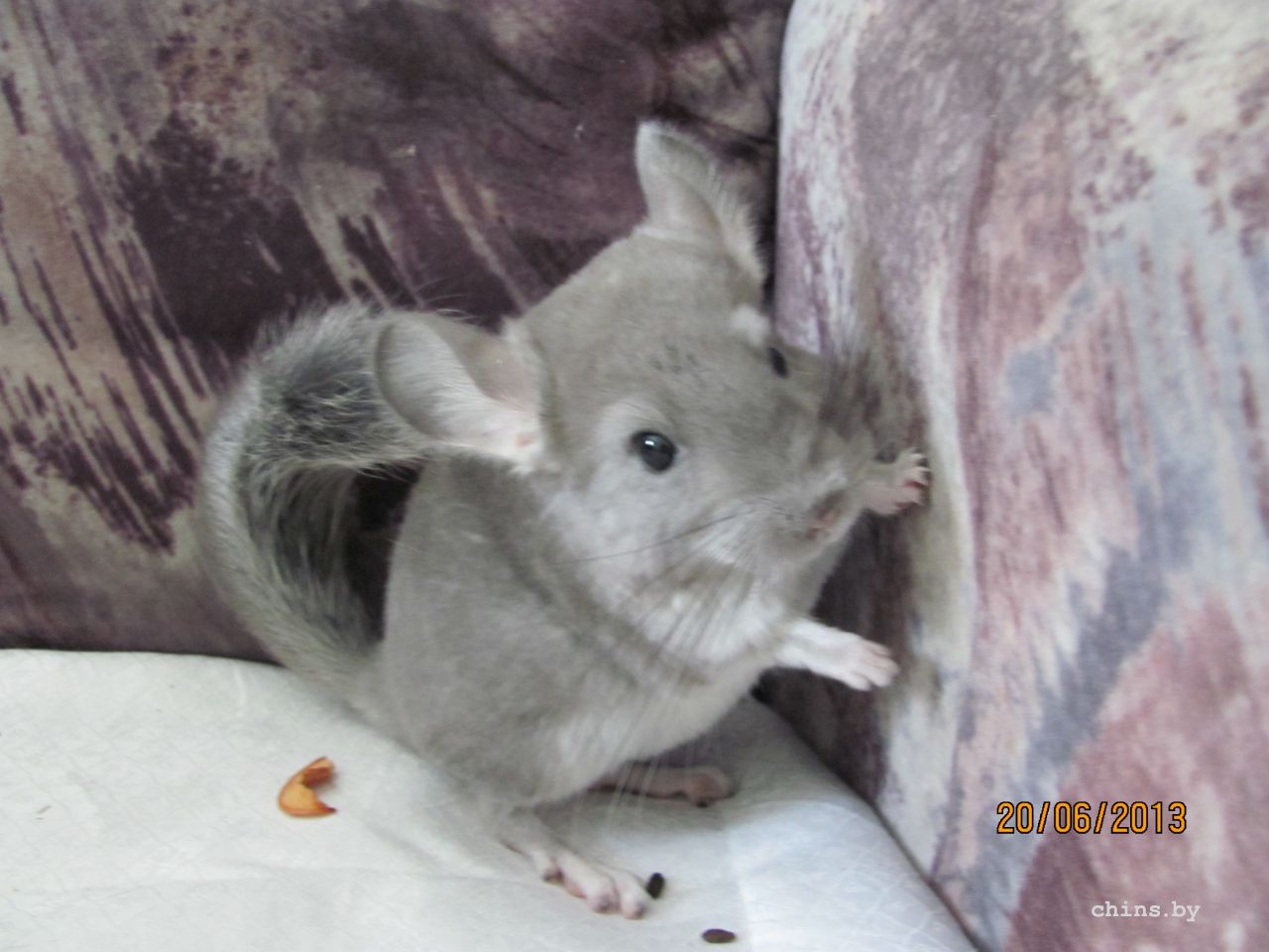 Изображение 607.jpg