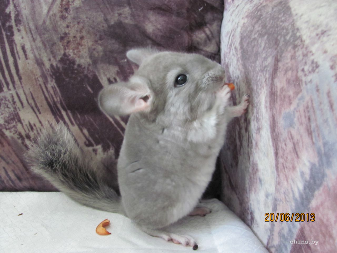 Изображение 609.jpg