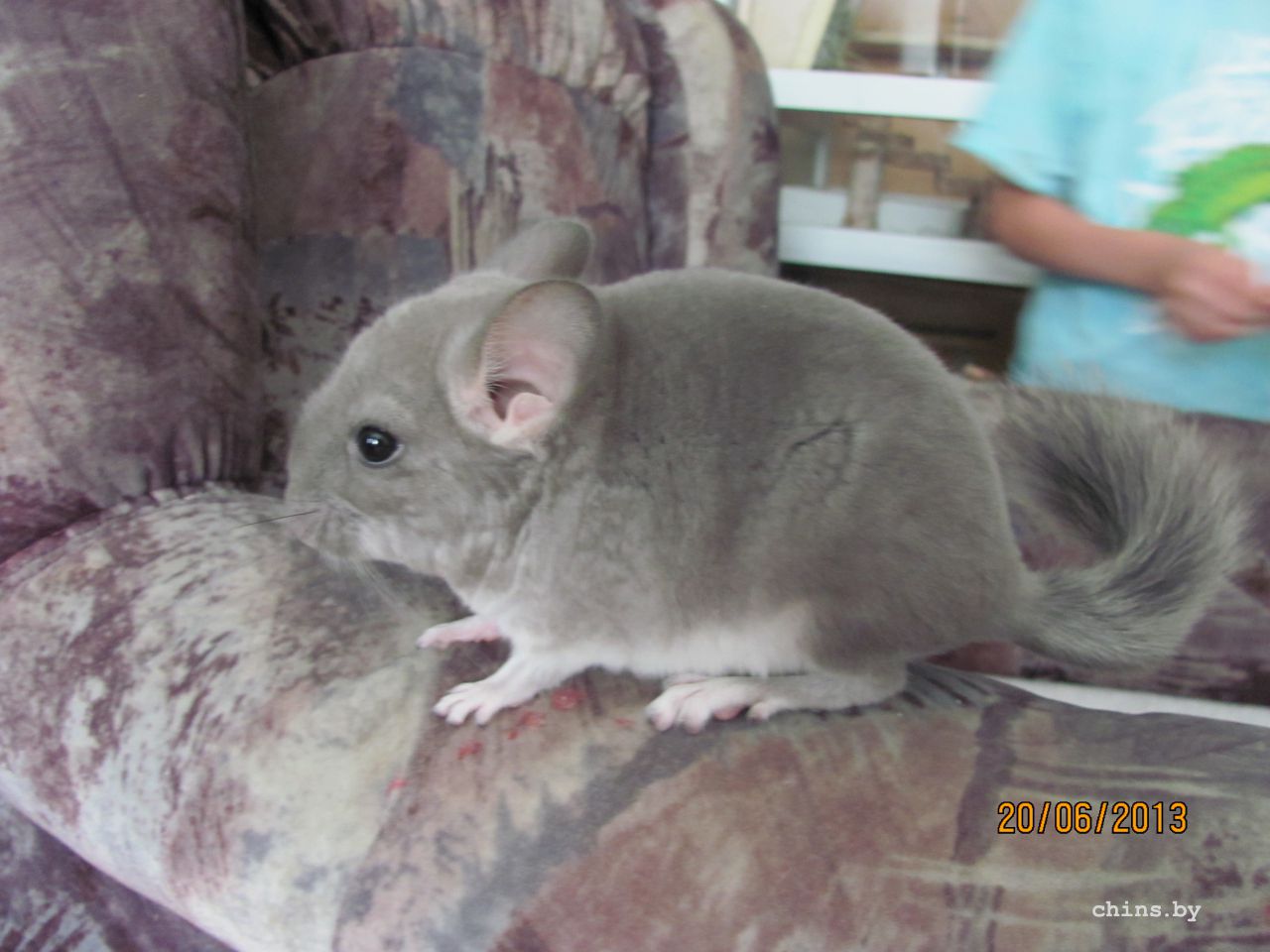 Изображение 612.jpg