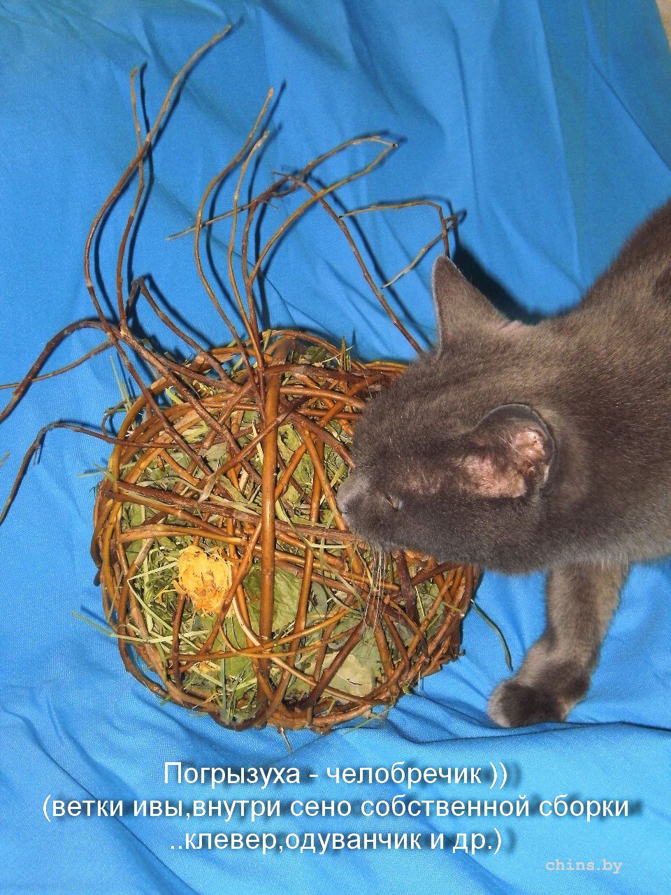 погрызуха.jpg