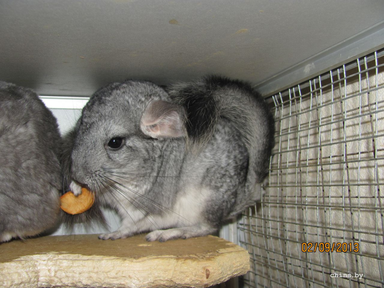 Изображение 676.jpg