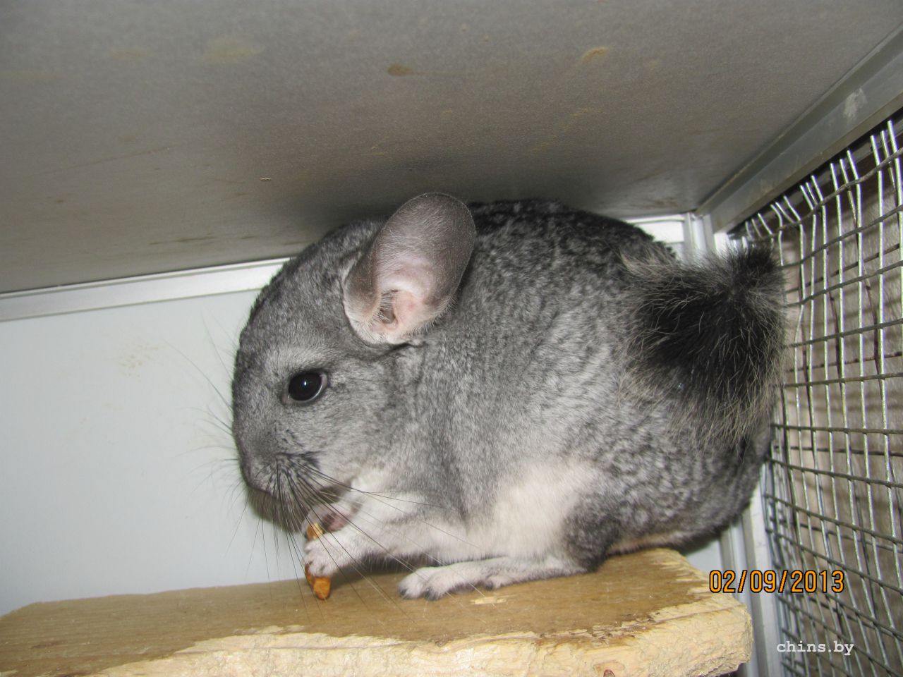 Изображение 682.jpg