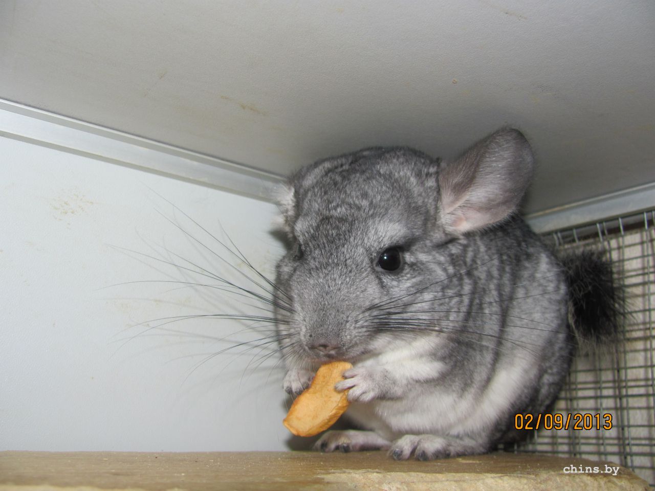 Изображение 683.jpg